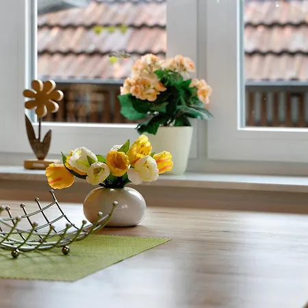Appartement Voelker à Haslach im Kinzigtal Extérieur photo